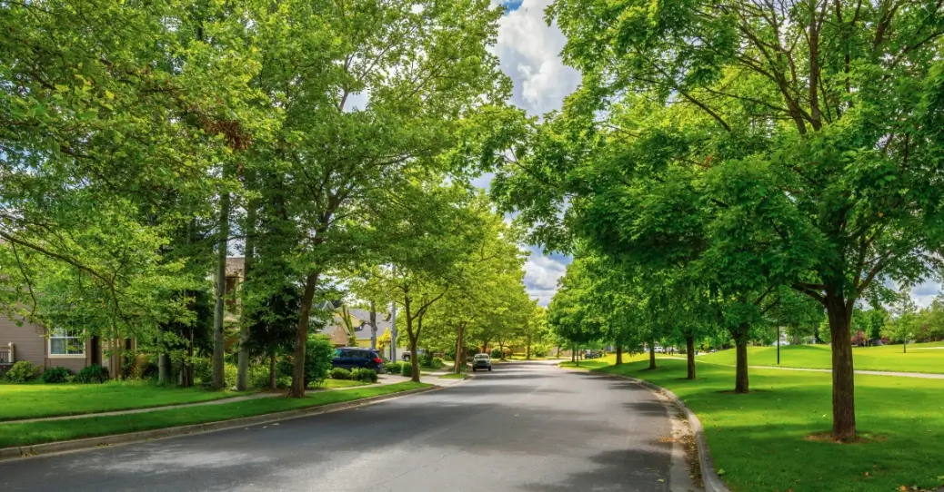 Tree-lined residential street in Edmond, Oklahoma